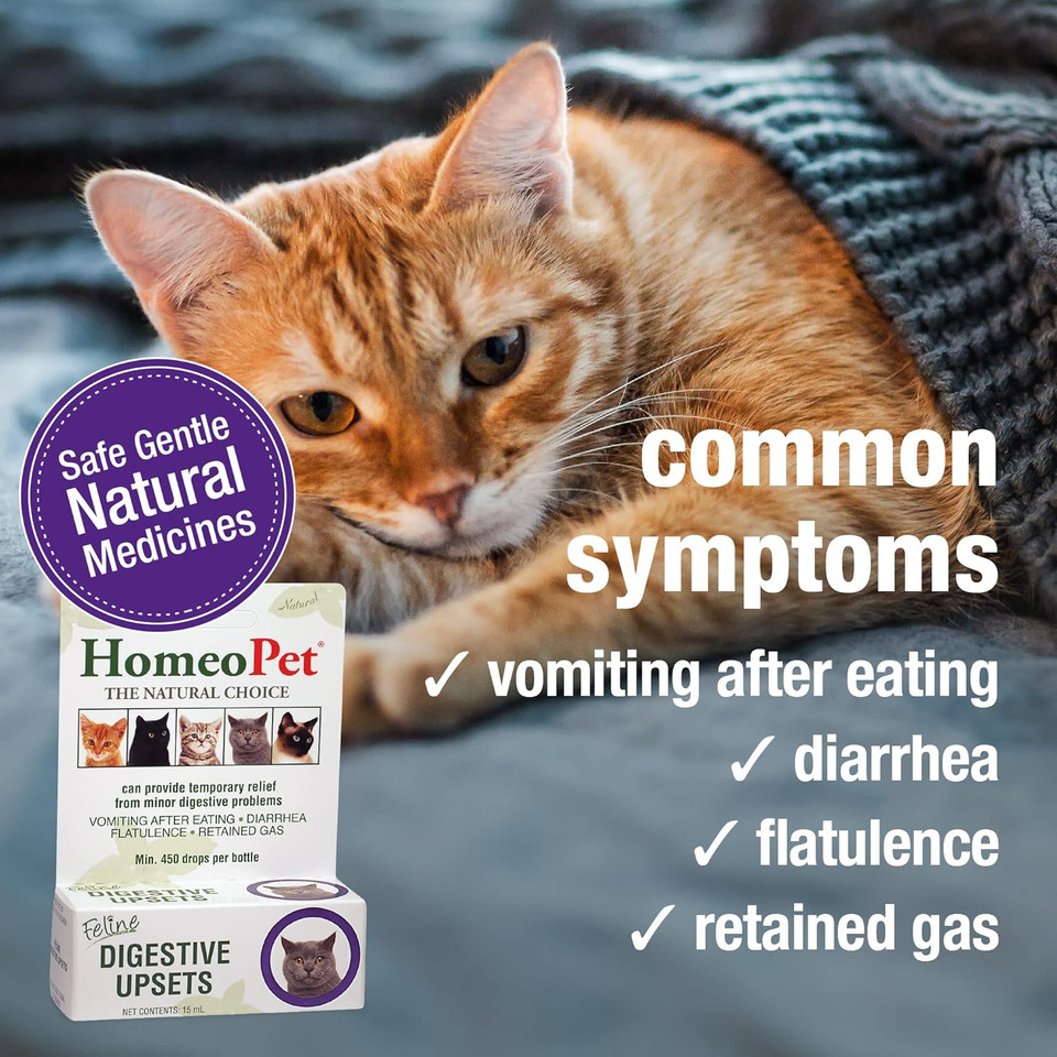 Homeopet Feline Digestive Upsets, Natural Pet Digestive Support For Cats And Kittens, Safe And Natural Cat Or Dog Medicine, 15 Milliliters