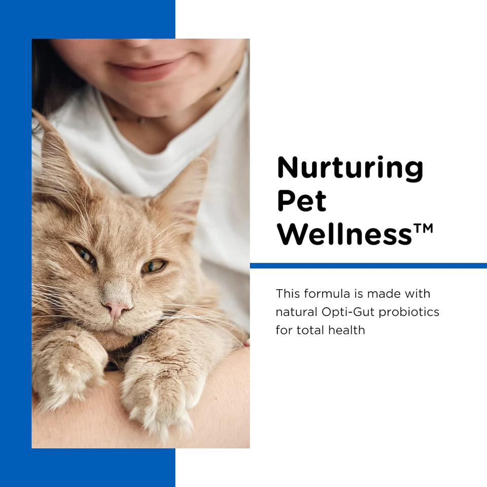 Nutri-Vet Milk Replacement For Kittens - Healthy Gut Support With Probiotics - 12 Oz Nutri-Vet Milk Replacement For Kittens - Healthy Gut Support With Probiotics - 12 Oz