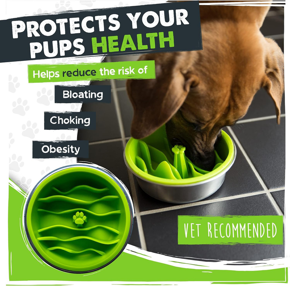 Mighty Paw Slow Feeder Dog Bowls For Large And Small Breed Dogs, Puppy , Dog Puzzlegreen Mighty Paw Slow Feeder Dog Bowls For Large And Small Breed Dogs, Puppy , Dog Puzzlegreen