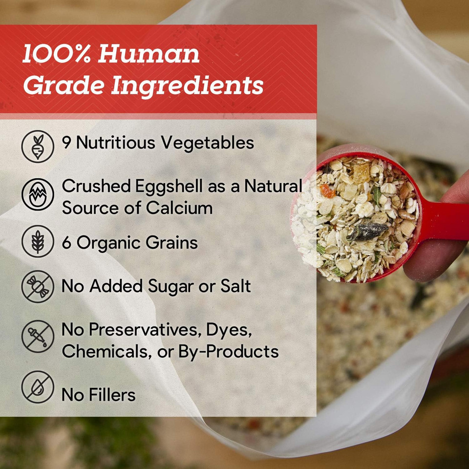 Dr. Harvey'S Canine Health Miracle Dog Food, Human Grade Dehydrated Base Mix For Dogs With Organic Whole Grains And Vegetables (Trial Size 6.5 Oz)6.5 Ounce (Pack Of 1)