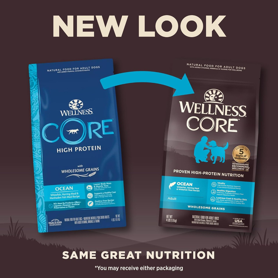 Wellness Core Wholesome Grains Ocean Recipe, 4 Pound Bag