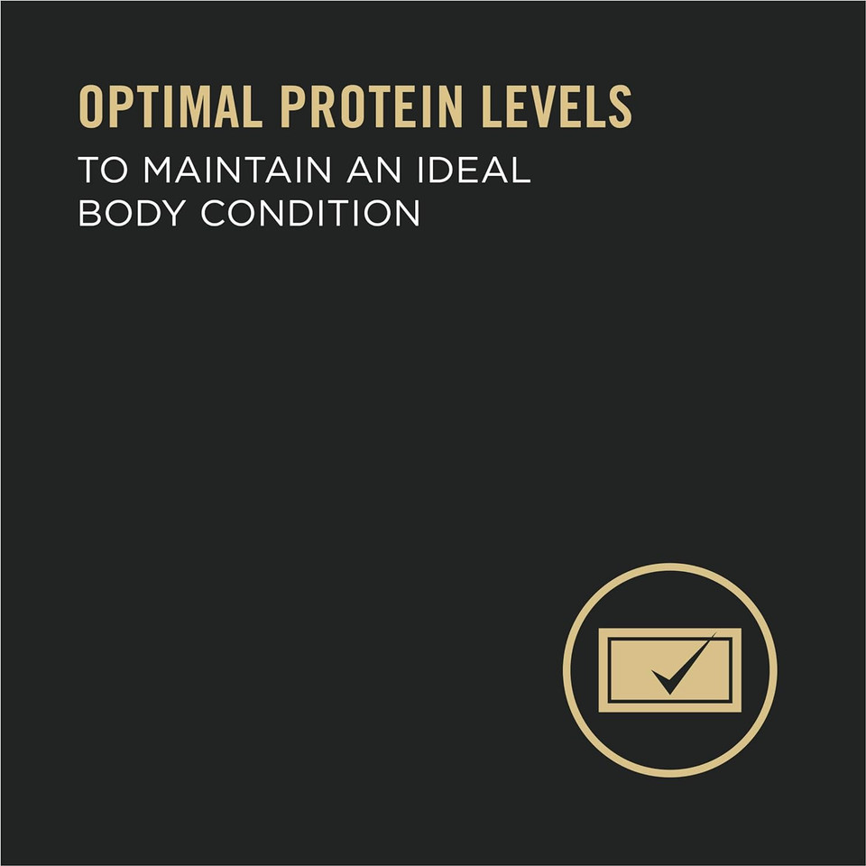 Purina Pro Plan High Protein Dog Food For Senior Dogs, Adult 7+ Chicken And Rice Entree - 13 Oz. Can(12) 13 Oz. Cans