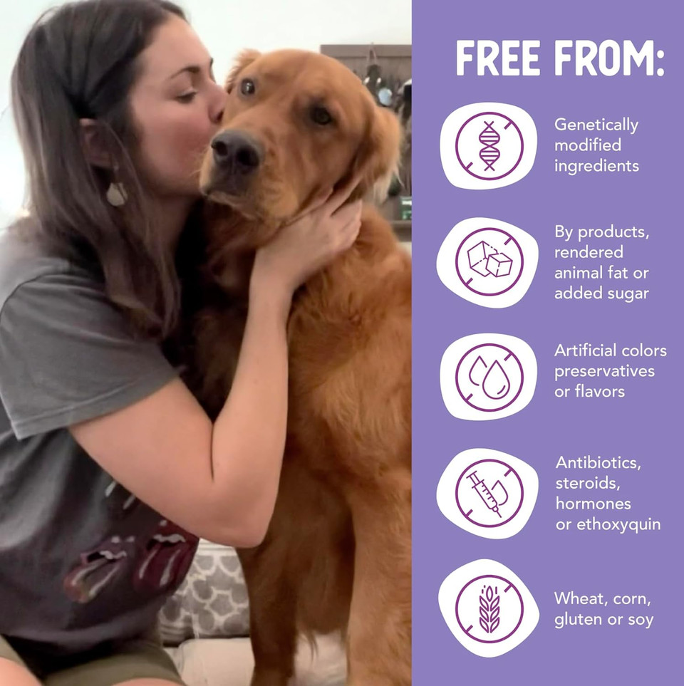 Health Extension Wet Dog Food, Grain-Free, Natural Food Cups For Small Breed Dogs With Added Vitamins, Include 6 Chicken Recipe Cups & 6 Turkey Recipe Cups, Each Cup Weight (3.5 Oz / 99.2 G)