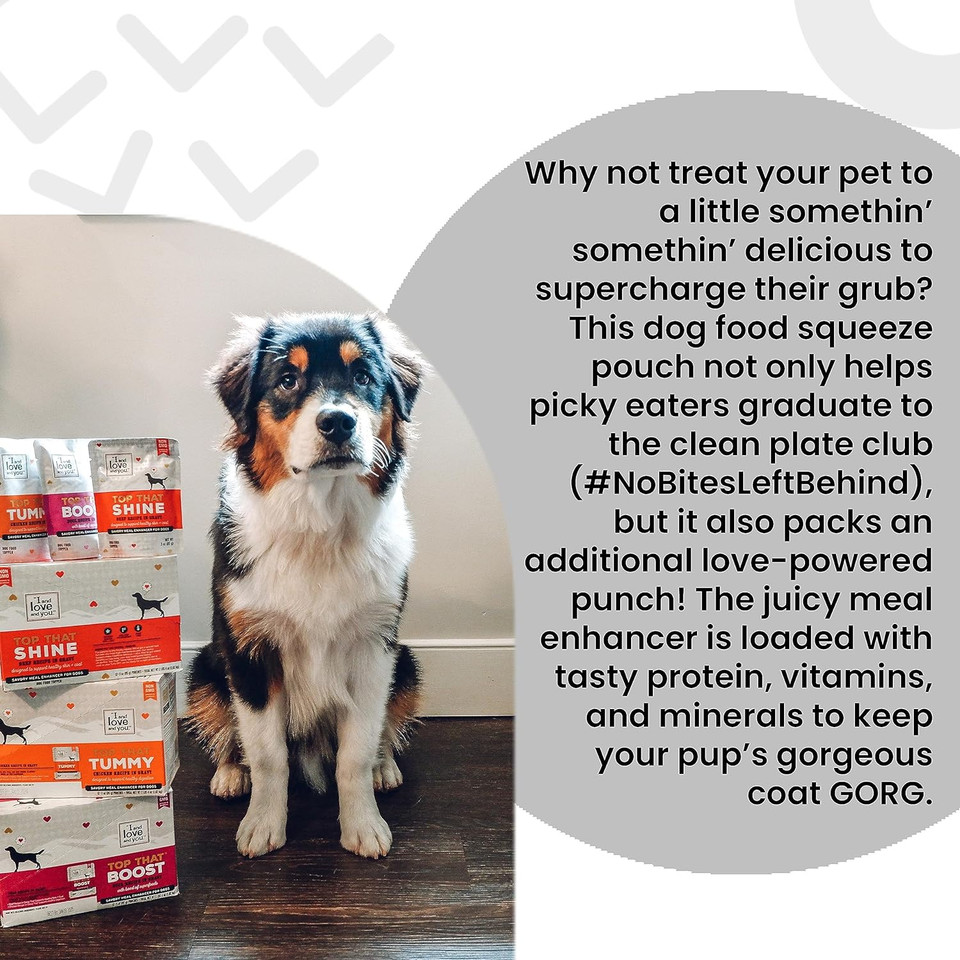 "I And Love And You" Top That Tummy Wet Dog Food Pouch, Chicken Recipe In Gravy, 3 Oz (Pack Of 12)