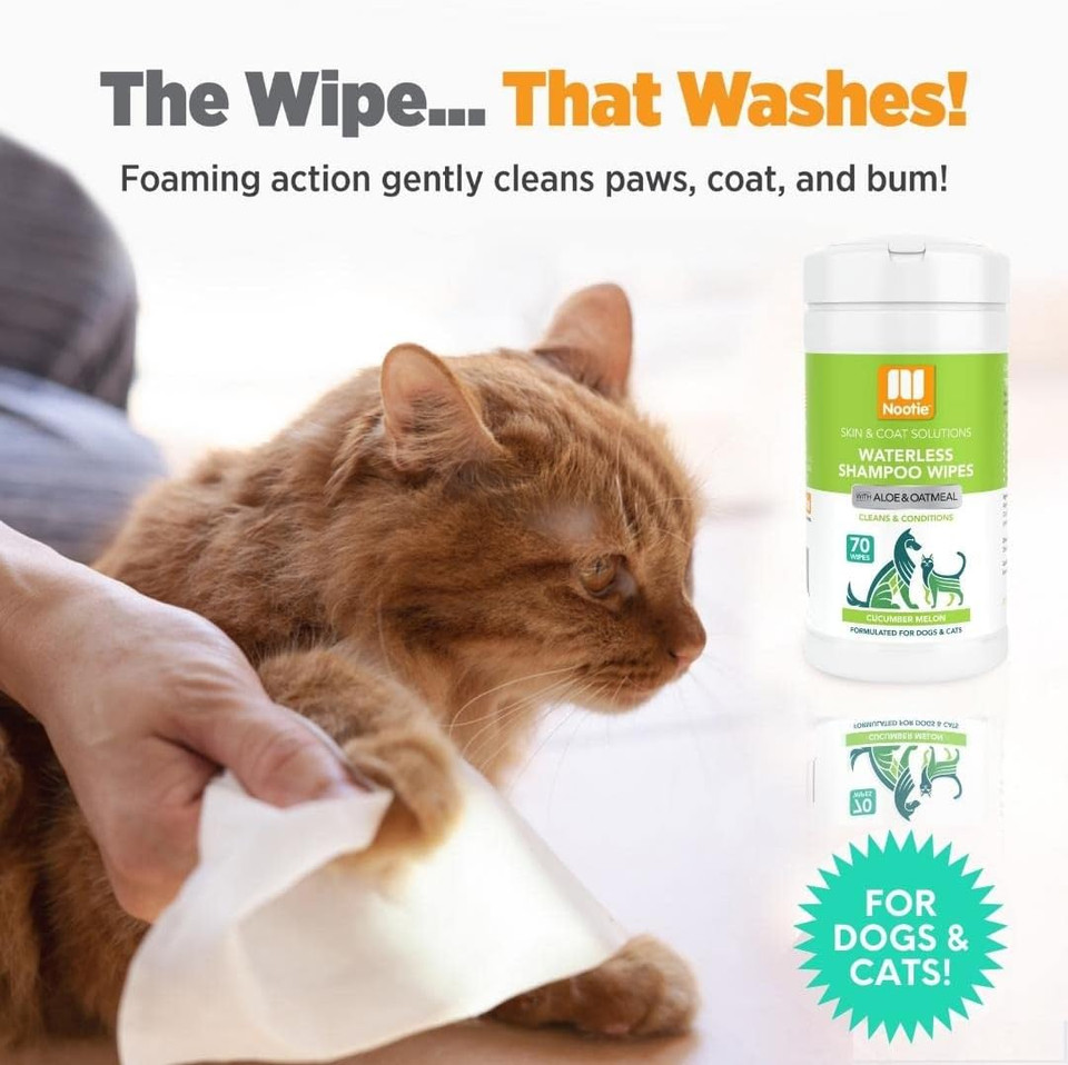 Nootie Waterless Shampoo Wipes For Dogs & Cats - Long Lasting Cucumber Melon Fragrance - Sold In Over 10,000 Vet Clinics And Pet Stores Worldwide, Made In Usa - 70 Count