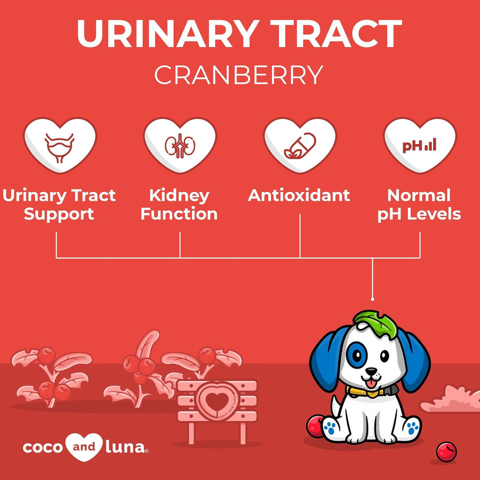 Cranberry For Dogs - 300 Chewable Tablets - Urinary Tract Support, Bladder Support For Dogs, Dog Uti, Bladder Stones, Dog Incontinence Support, Cranberry Supplement For Dogs