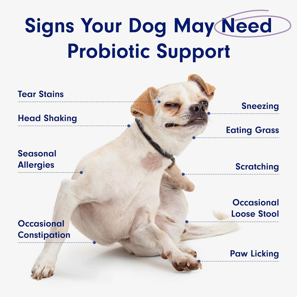 Petlab Co. Probiotics For Dogs, Support Gut Health, Diarrhea, Digestive Health & Seasonal Allergies - Pork Flavor - 30 Soft Chews - Packaging May Vary
