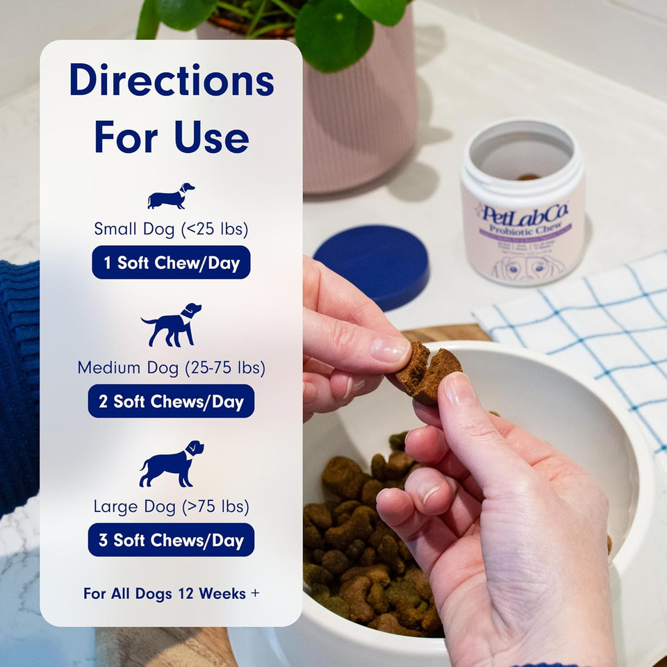Petlab Co. Probiotics For Dogs, Support Gut Health, Diarrhea, Digestive Health & Seasonal Allergies - Pork Flavor - 30 Soft Chews - Packaging May Vary