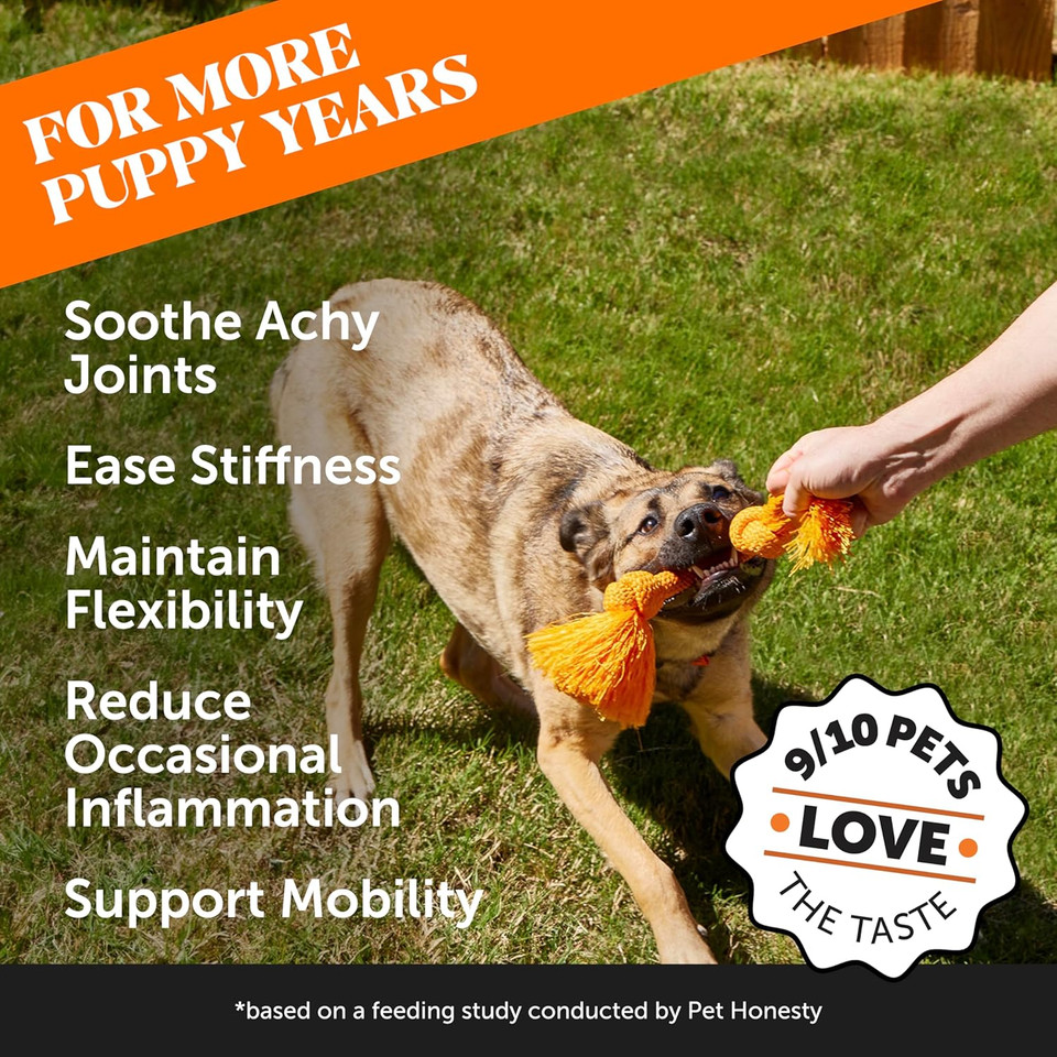 Pet Honesty Hemp Hip & Joint Supplement For Dogs - Hemp Oil & Hemp Powder - Glucosamine Chondroitin For Dogs, Turmeric, Msm, Green-Lipped Mussel, Supports Mobility, May Reduce Discomfort (Duck)