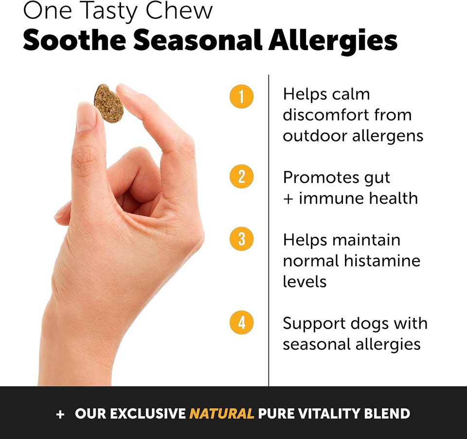 Pet Honesty Dog Allergy Relief Immunity - Chews, Probiotics For Dogs, Seasonal Allergies, Skin And Coat Supplement, Itch Support Supplement (Salmon)Single