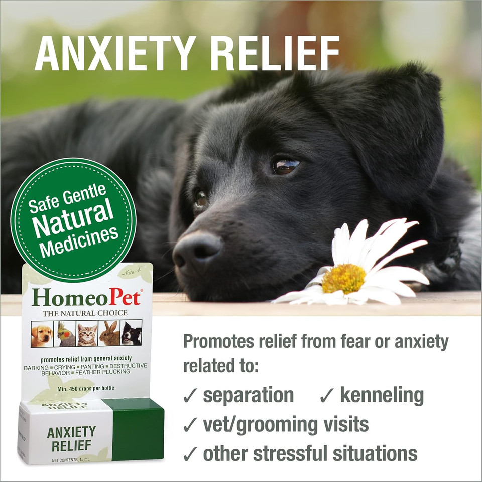 Homeopet Anxiety Relief Medicine For Pets, Natural Anxiety Relief For Dogs And Cats, Cat And Dog Calming Medicine, 15 Milliliters
