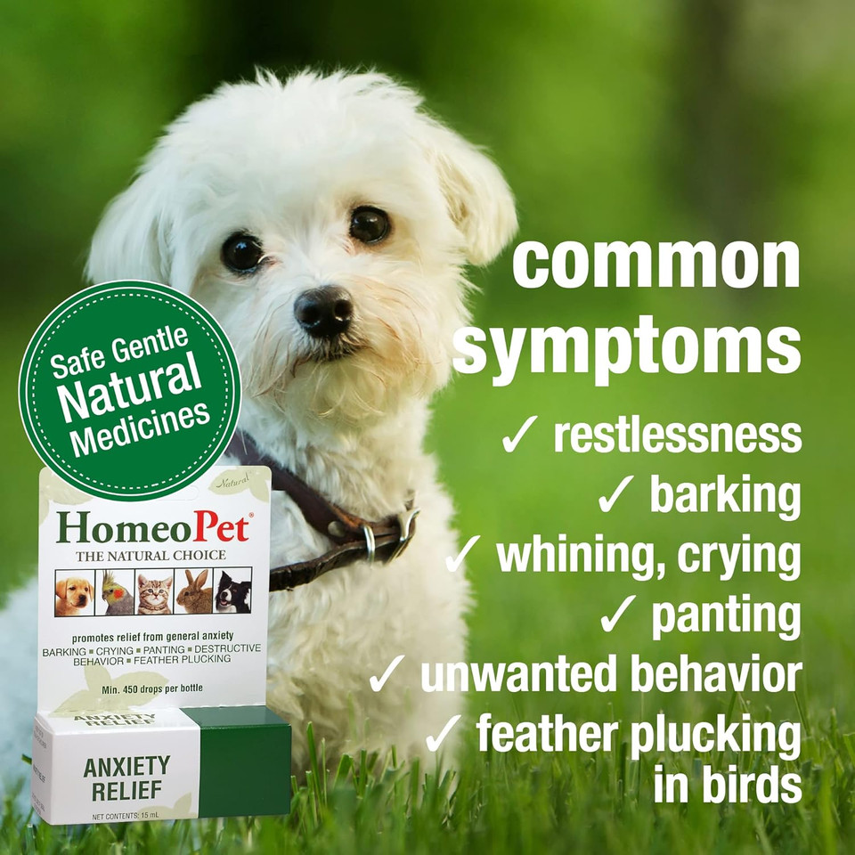 Homeopet Anxiety Relief Medicine For Pets, Natural Anxiety Relief For Dogs And Cats, Cat And Dog Calming Medicine, 15 Milliliters