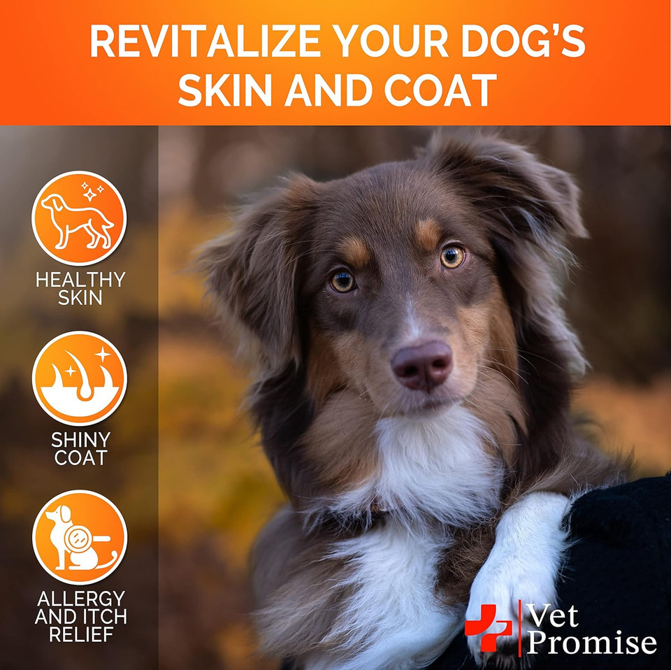 Omega 3 For Dogs - Dog Skin And Coat Supplement - Fish Oil For Dogs Chews - Allergy And Dog Itch Relief - Dog Anti Shedding Supplement - Dog Dry Skin Treatment - Salmon Oil - Made In Usa - 120 Treats