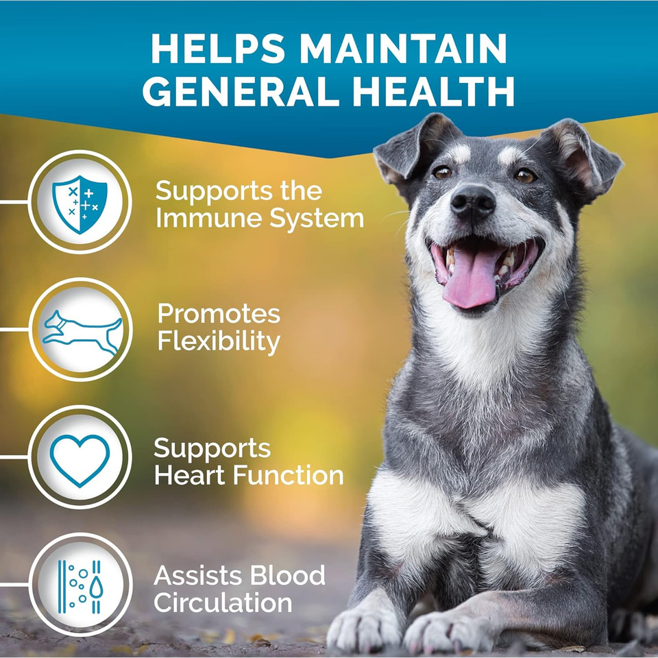 Premium Care 15-In-1 Dog Multivitamin Chews - Dog Vitamins And Supplements With Vitamin C, Probiotics And Omega 3 For Physical And Mental Wellbeing Support - 120 Multi-Vitamins For Seniors & Puppies