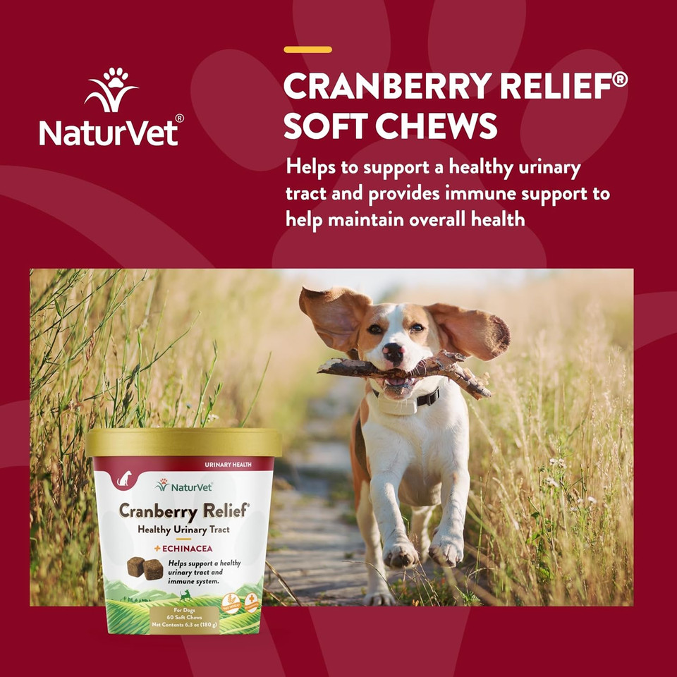Naturvet  Cranberry Relief Plus Echinacea  Helps Support A Healthy Urinary Tract & Immune System  60 Soft Chews60 Soft Chews