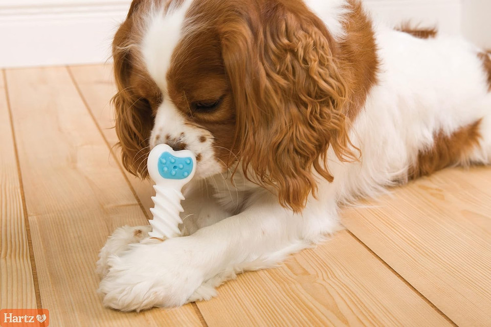 Hartz Chew N Clean Twisty Bone Dog Chew Toy, Bacon Scented For Moderate Chewers, Extra Smallblueextra Small