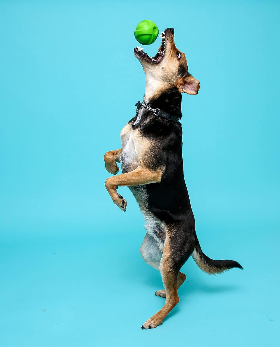 Hartz Dura Play Bacon Scented Squeak Ball Dog Toy For Small Breeds, 3 Packsmall (3 Count)