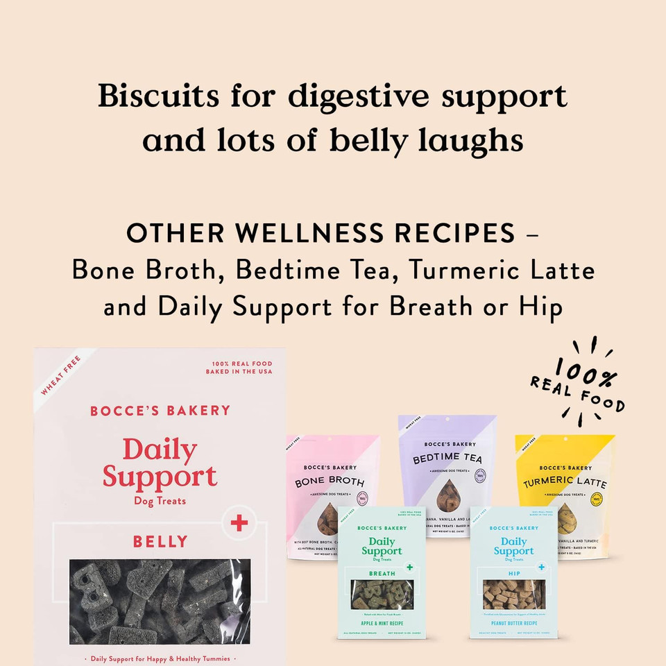 Bocce's Bakery Belly Daily Support Treats for Dogs, Wheat-Free Dog Treats, Made with Real Ingredients, Baked in The USA, Supports Digestive Health, All-Natural Pumpkin & Ginger Biscuits, 12 oz