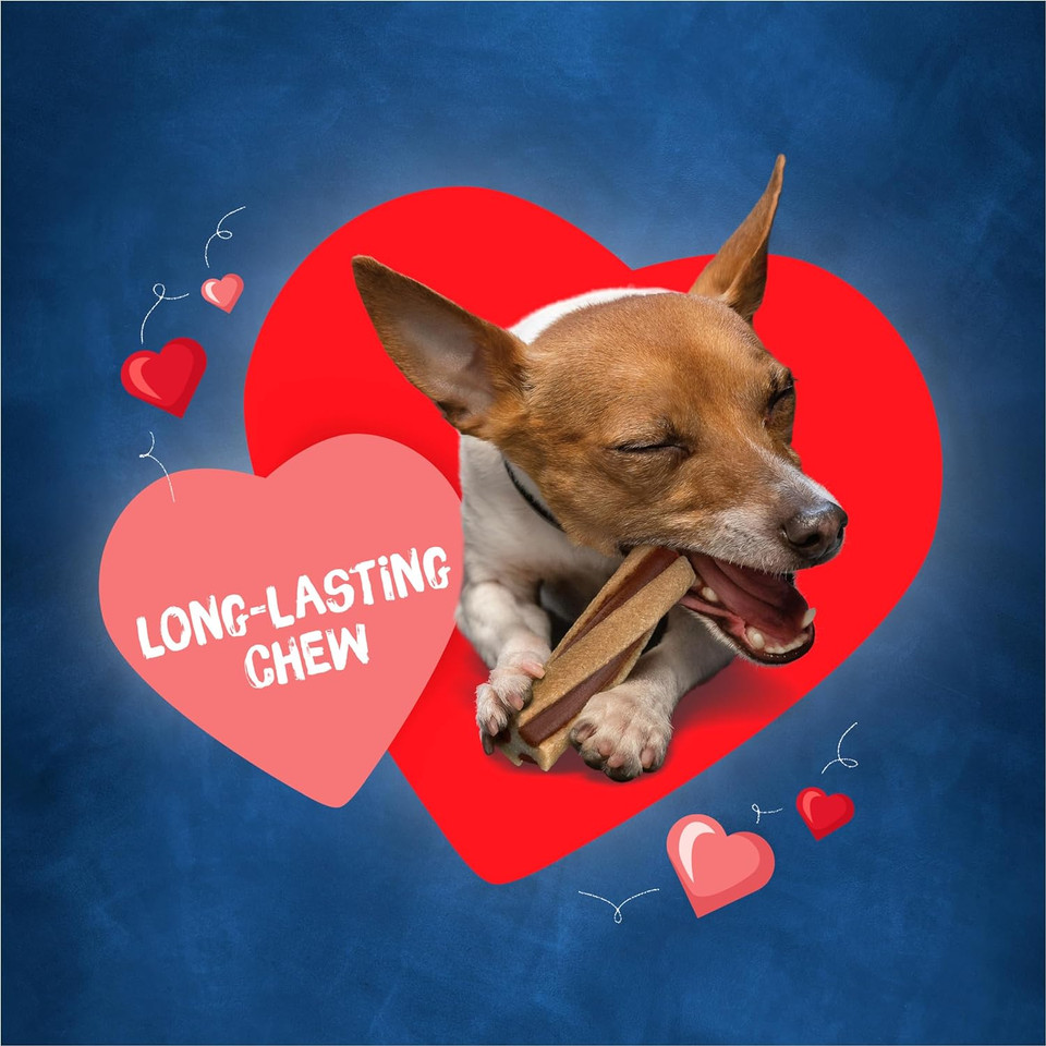 Purina Busy With Beggin' Twist'D Tiny Dog Treats - (6) 10 Ct. Pouchesbacon10 Count (Pack Of 6)