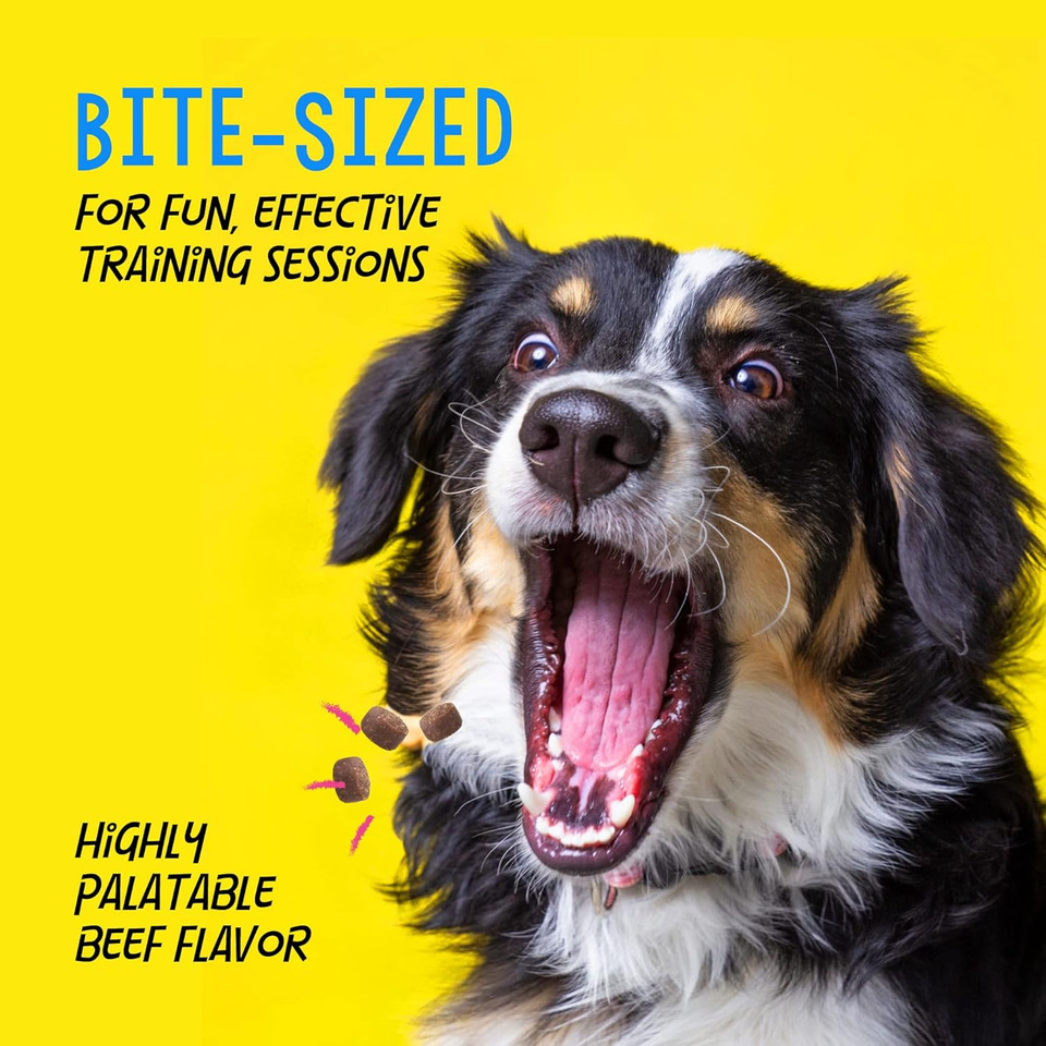 Crazy Dog Train-Me Training Rewards For Dogs, Beef, 4-Ounce4 Ounce