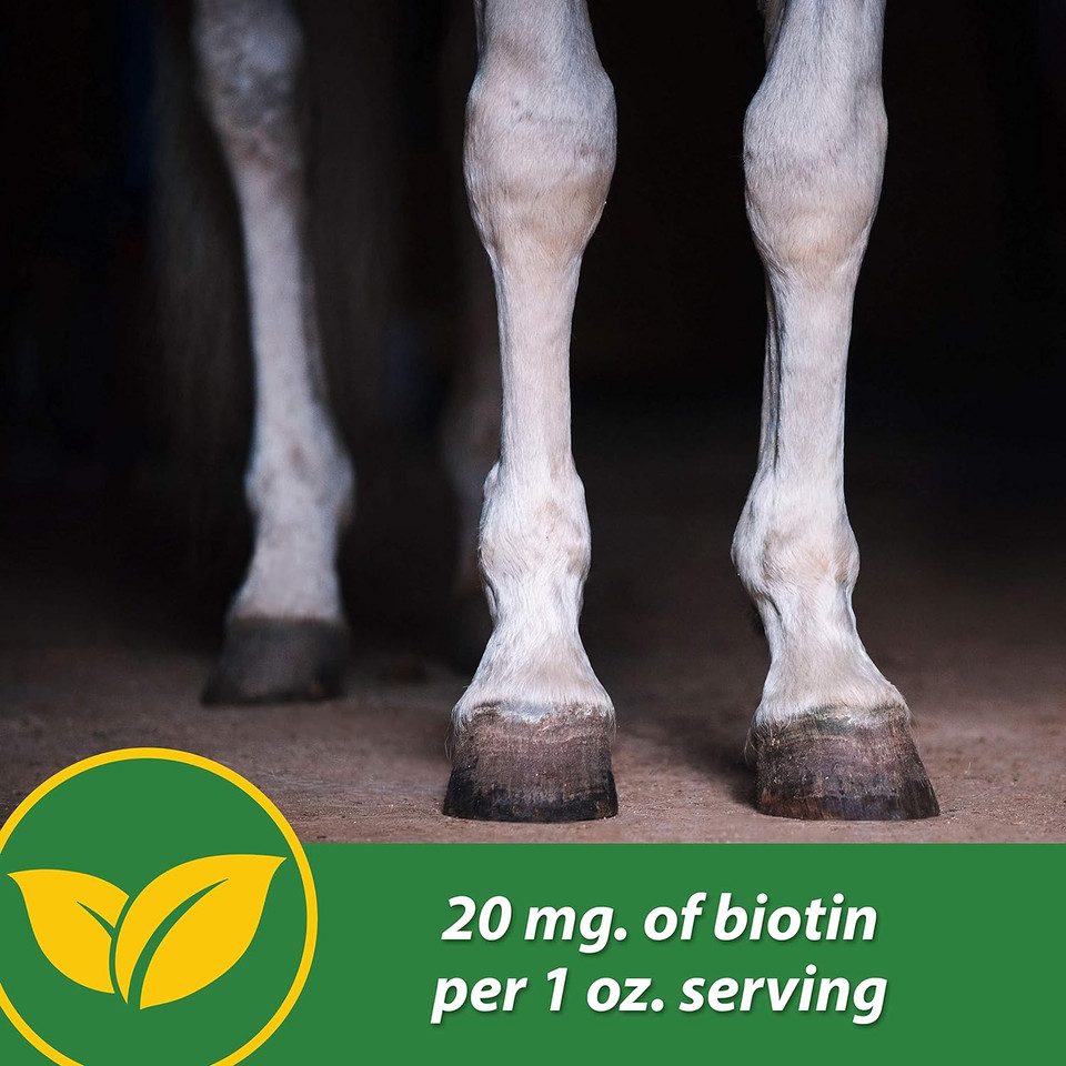 Farnam Hb 15 Hoof Supplement, Supports Healthy Hoof Growth 7 Pound, 112 Day Supply7 Pounds