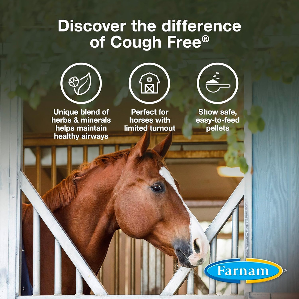 Farnam Cough Free Horse Cough Supplement Pellets, Provides Respiratory Support For Horses W/Seasonal Allergies Or Stable Cough, 1.75 Lb, 48 Day Supply Farnam Cough Free Horse Cough Supplement Pellets, Provides Respiratory Support For Horses W/Seasonal Allergies Or Stable Cough, 1.75 Lb, 48 Day Supply