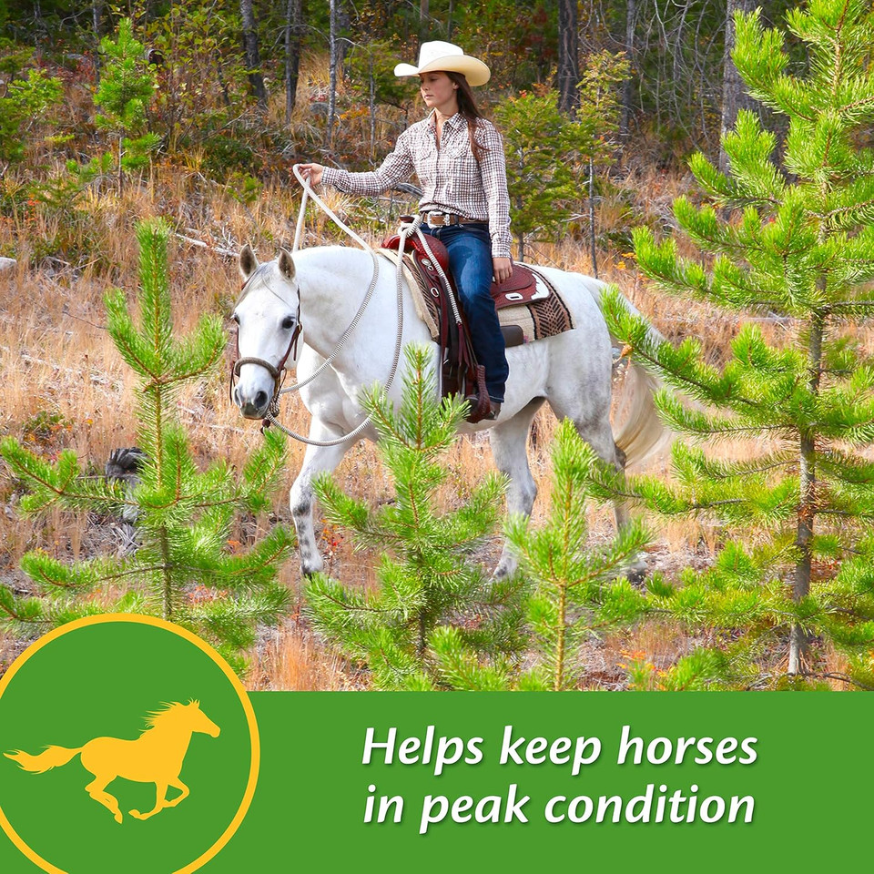 Farnam Vita-Min E & Selenium Antioxidant Supplement, 3 Pounds, 96 Day Supply