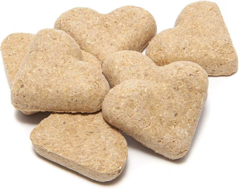 Nutrigood Senior Snax Horse Treats | Made With Omega 3 Fatty Acids, Biotin, And Glucosamine | 2 Pounds