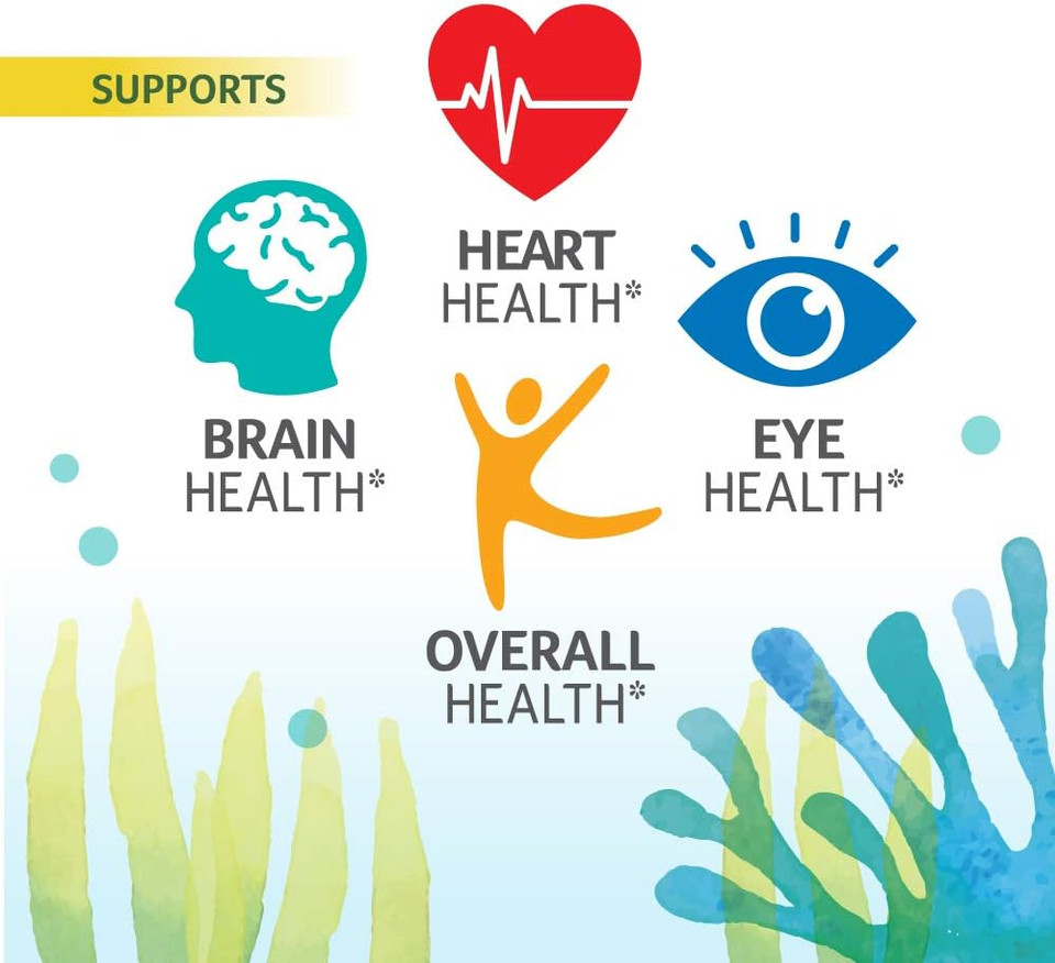 Ovega-3 Vegan Algae Omega-3 Daily Supplement, Supports Heart, Brain & Eye Health*, 500 Mg Omega-3S, 135 Mg Epa + 270 Mg Dha, Fish Oil Alternative, No Fishy Aftertaste, Vegetarian Softgels 60 Ct
