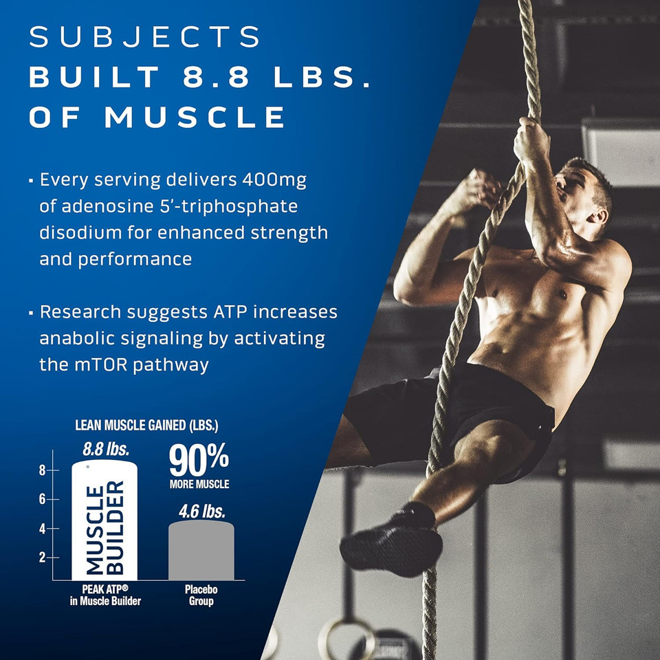 Muscle Builder Muscletech Muscle Builder Muscle Building Supplements For Men & Women Nitric Oxide Booster Muscle Gainer Workout Supplement 400Mg Of Peak Atp For Enhanced Strength, 60 Pills60 Count (Pack Of 1)