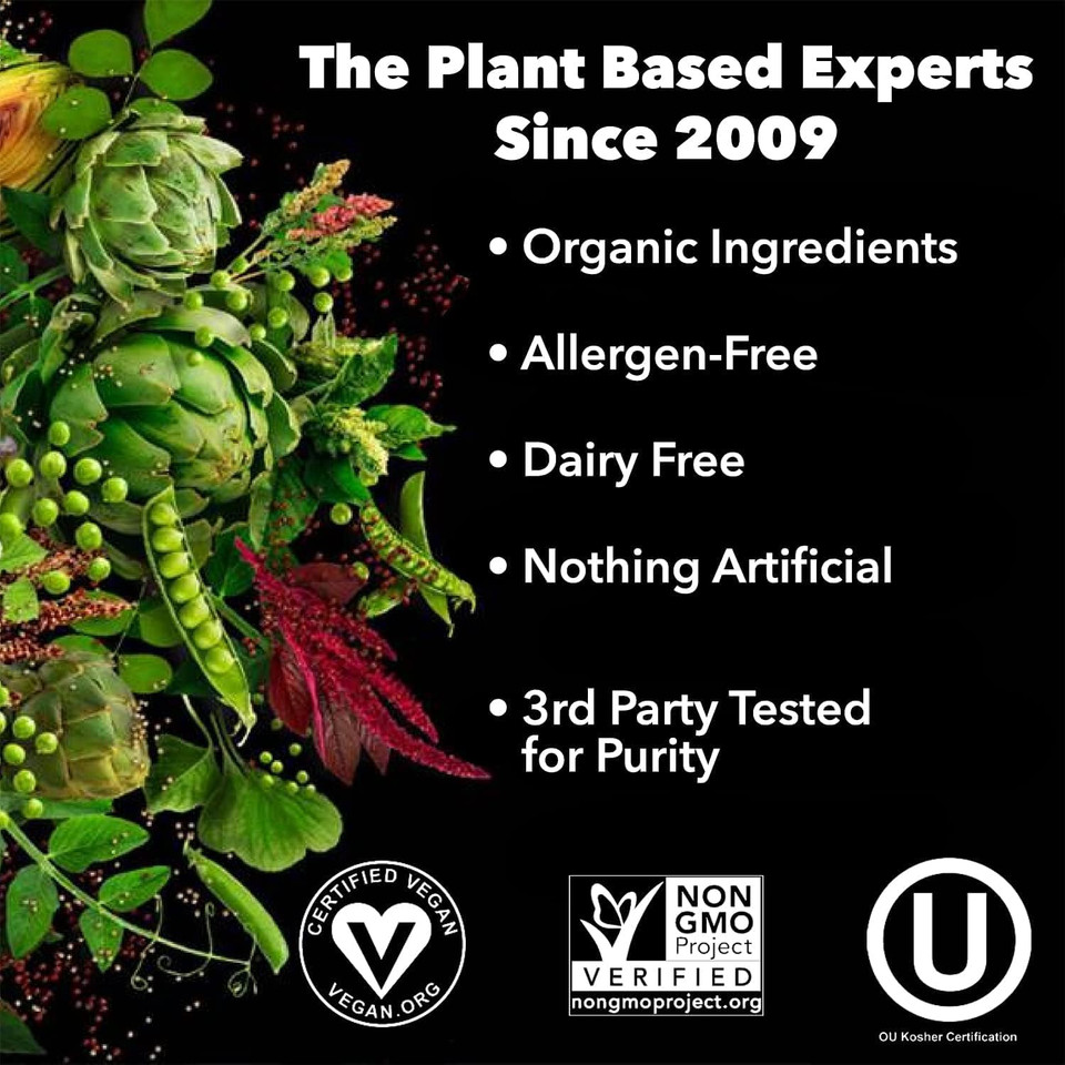 Plantfusion Complete Vegan Protein Powder - Plant Based Protein Powder With Bcaas, Digestive Enzymes And Pea Protein - Keto, Gluten Free, Soy Free, Non-Dairy, No Sugar, Non-Gmo - Vanilla Bean 1 Lb15 Servings (Pack Of 1)