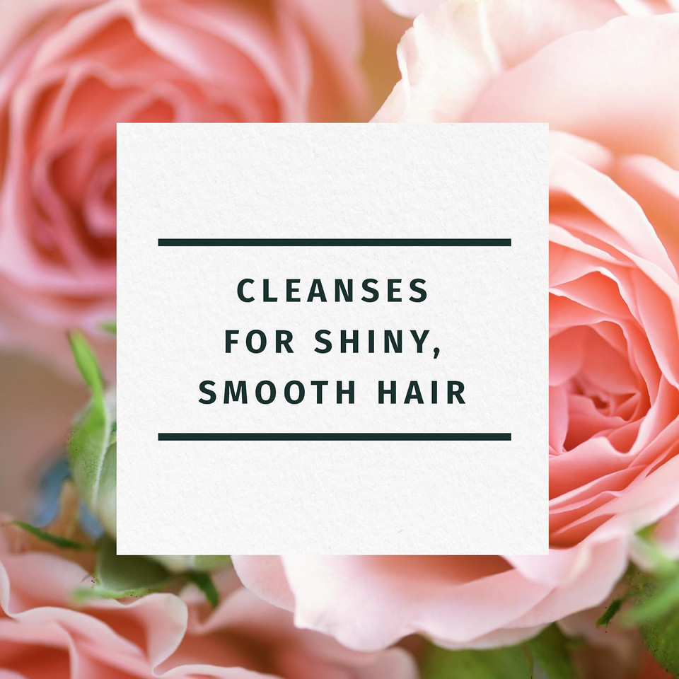 Herbal Essences Rose Hips Smooth Shampoo, 29.2 Fl Oz29.2 Fl Oz (Pack Of 1)