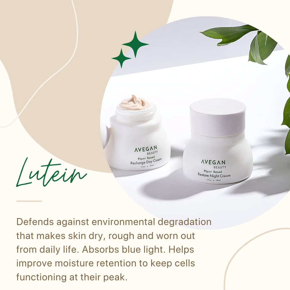 Ecco Bella Avegan And Wellness Beauty Plant Based Restore Night Cream Build Firmer Younger Skin While You Sleep