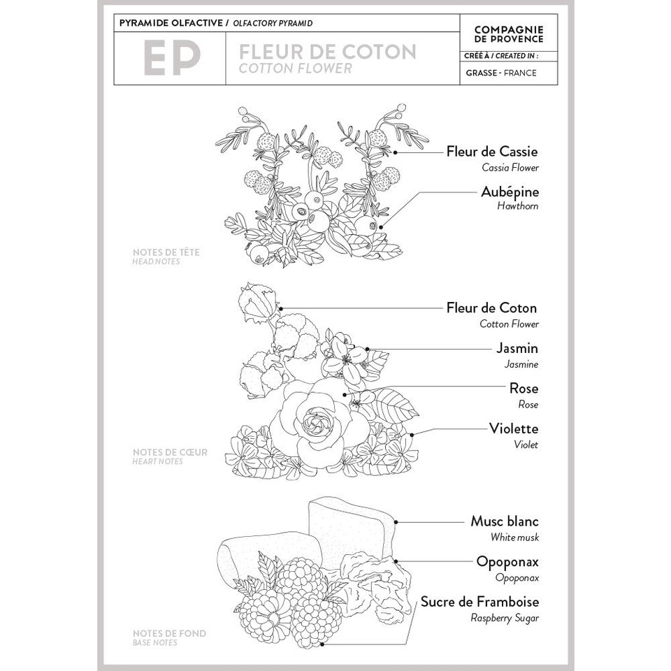 Compagnie De Provence Liquid Marseille Soap And Hand Cream Set, Cotton Flower10 Ounce