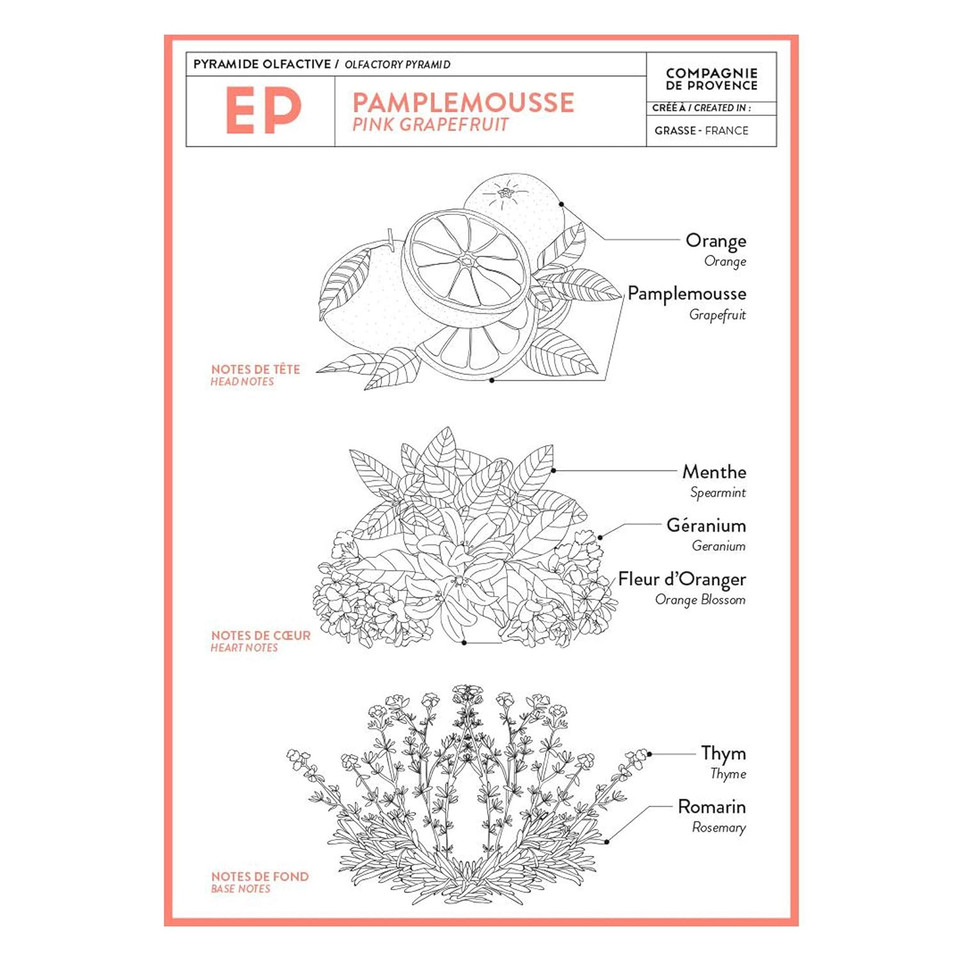 Compagnie De Provence Savon De Marseille Extra Pure Liquid Soap - Pink Grapefruit - 16.9 Fl Oz Glass Pump Bottle And 33.8 Fl Oz Plastic Bottle Refillgift Set