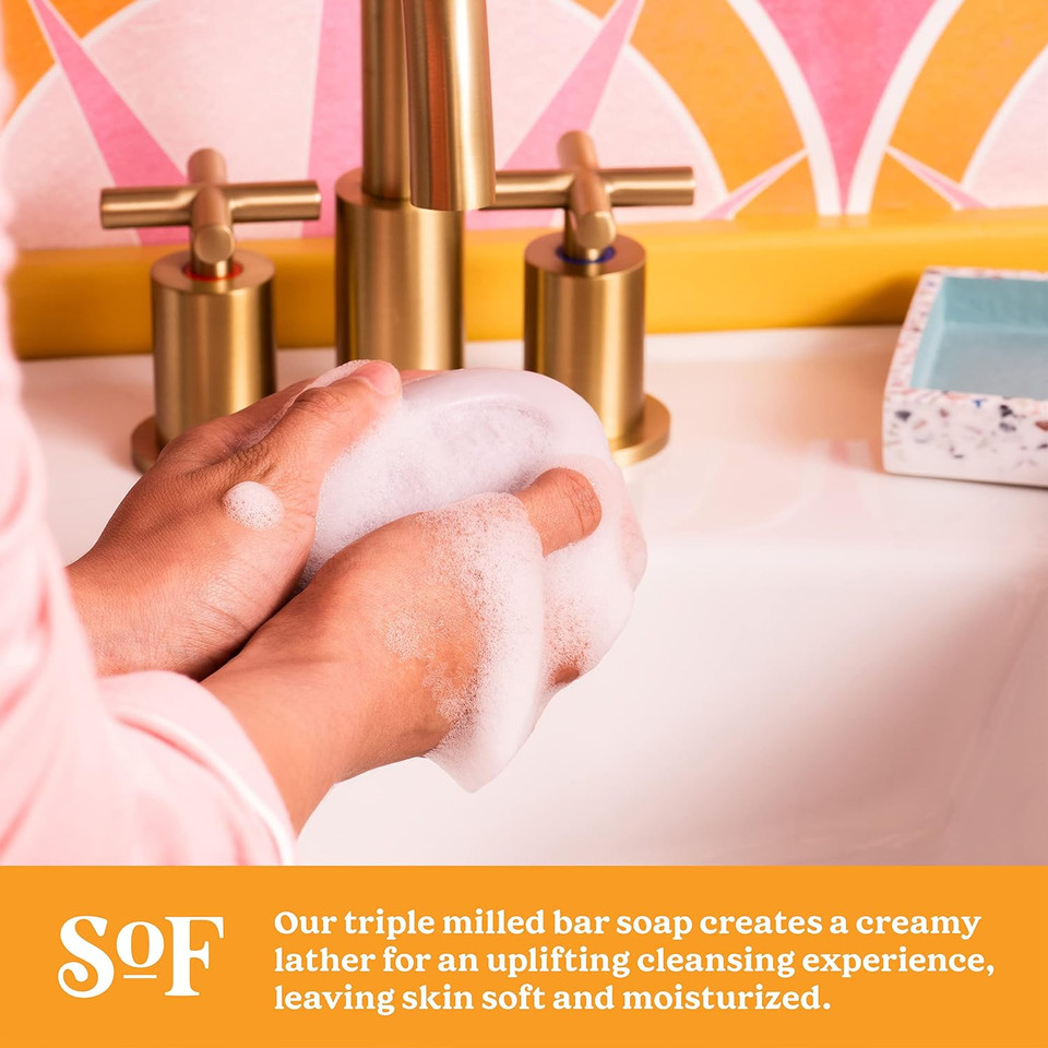 South Of France Natural Body Care Triple Milled Large 6Oz Bar Soap (Variety Pack B, 6 Bars)