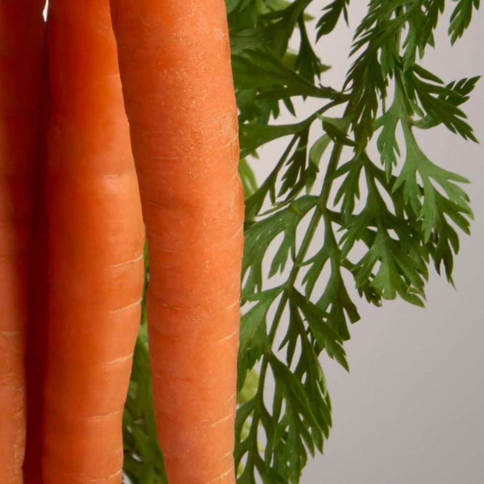 Bliss Mighty Biome Skin Balancing Milky Toner + Serum - 4 Fl Oz - Pre & Post Biotics Formula + Barrier Aid Complex With Ceramides & Squalane - Radiant Complexion - Clean - Vegan & Cruelty-Free