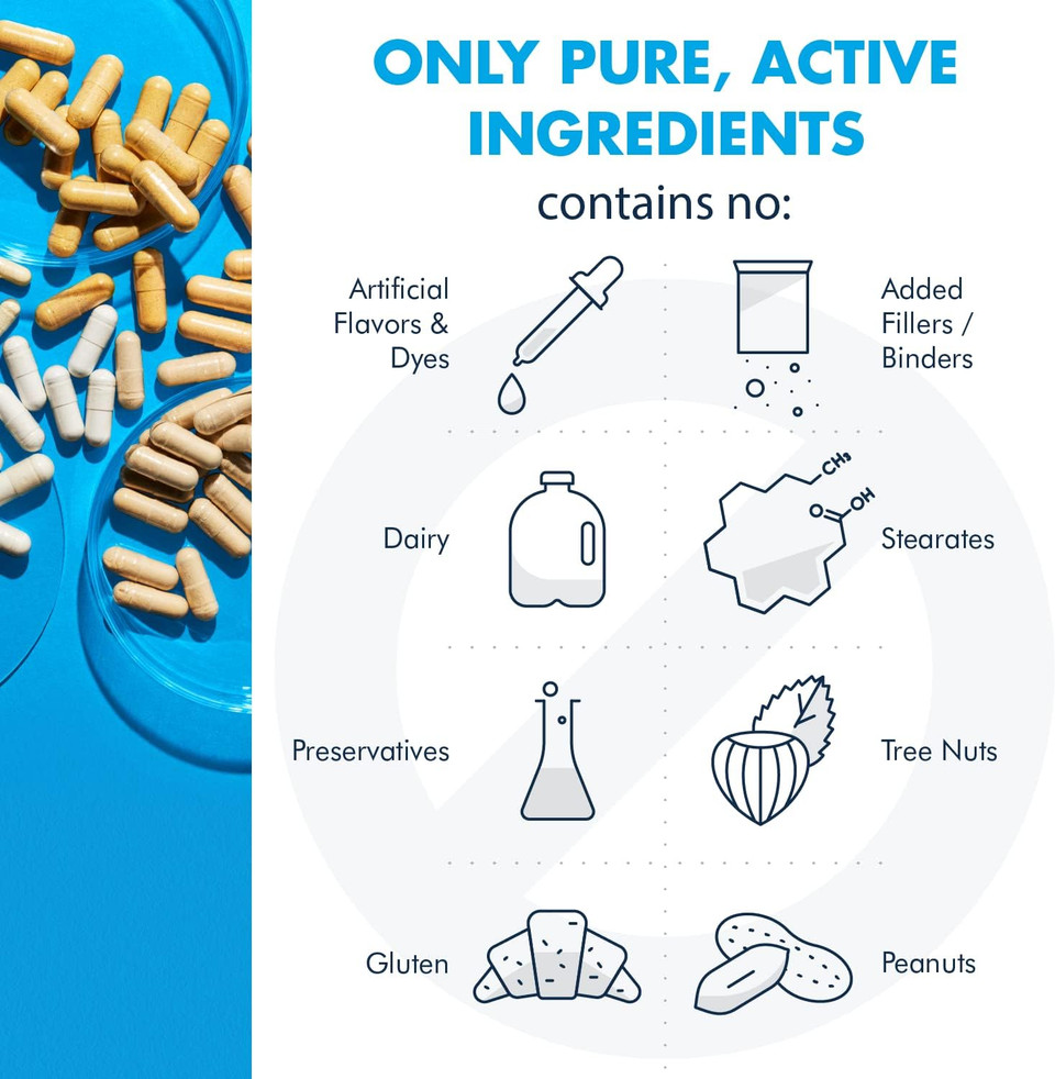 Metabolic Maintenance L-Theanine - 200 Milligrams Suntheanine, Relaxation + Focus Support (120 Capsules)