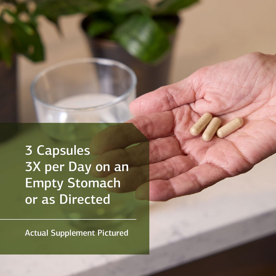 Standard Process Gastro-Fiber - Whole Food Digestion And Digestive Health, Indigestion, And Cramps With Collinsonia Root, Apple Pectin, And Fennel Seed - 150 Capsules