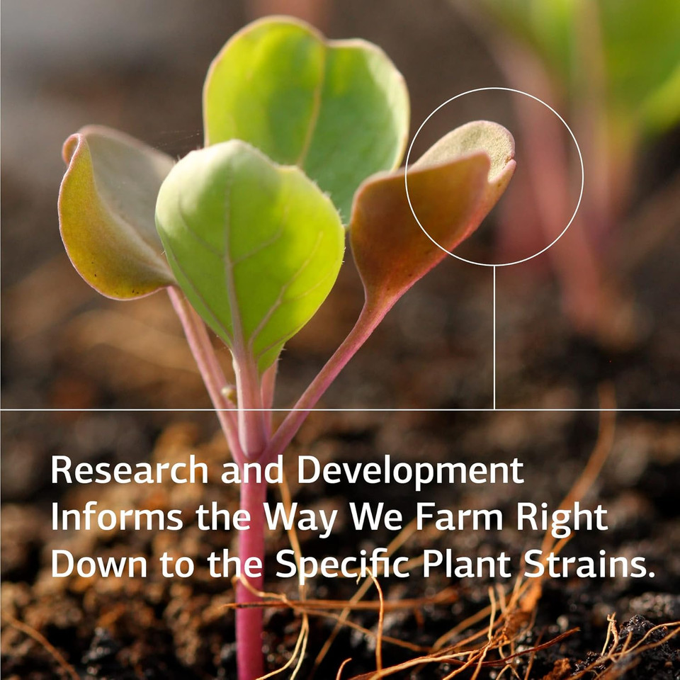 Standard Process Gastro-Fiber - Whole Food Digestion And Digestive Health, Indigestion, And Cramps With Collinsonia Root, Apple Pectin, And Fennel Seed - 150 Capsules