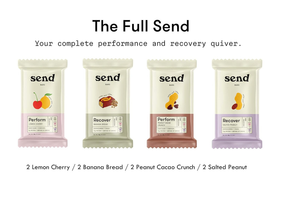 Send Bars, Recover And Perform Protein Bars, 4 Flavor Variety Pack, 2.1 Ounce Bars, Pack Of 8 Bars (2 Bars Of Each Flavor) - Gluten Free, Vegan, 10G Plant Protein, Real Food, Easily Digestible