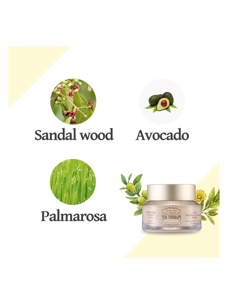 The Face Shop The Therapy Oil Blending Cream | Anti-Aging, Anti-Dry & Ultra Nourishing Effects In One Anti-Aging Product | Anti-Aging Moisture Formula, 1.69 Fl Oz