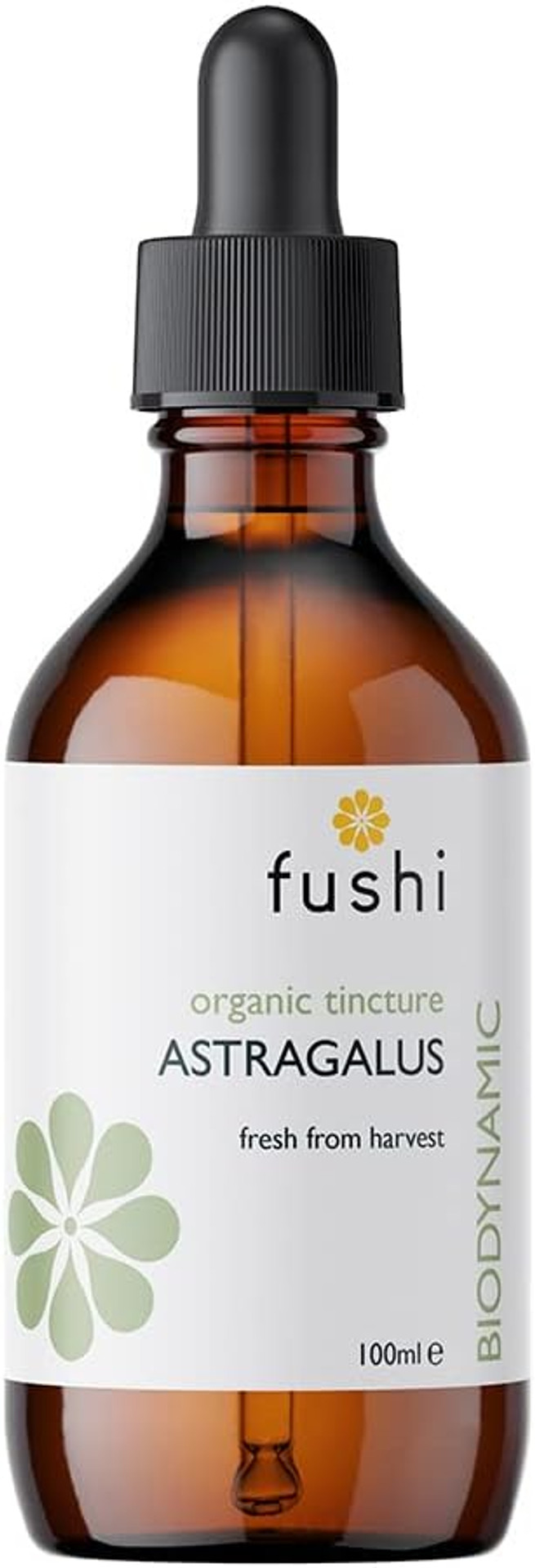 Fushi Organic Astragalus (Astragalus Propinquus) Fresh Tincture 100Ml | 1:2 @ 25%, Sugar Cane Alc.| Biodynamic | Ethical & Vegan | Made In The Uk