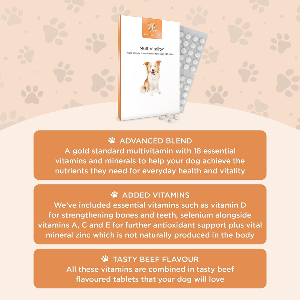 Healthspan Multivitamin For Dogs (240 Tablets) | A Gold Standard Multivitamin For Every Stage In Life | 18 Essential Vitamins & Minerals | Vitamins A, B, C, D & E | Magnesium & Zinc | Beef Flavoured