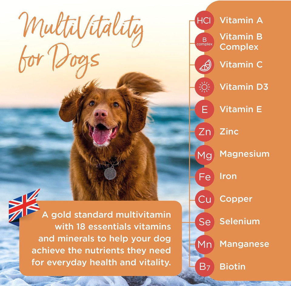 Healthspan Multivitamin For Dogs (240 Tablets) | A Gold Standard Multivitamin For Every Stage In Life | 18 Essential Vitamins & Minerals | Vitamins A, B, C, D & E | Magnesium & Zinc | Beef Flavoured