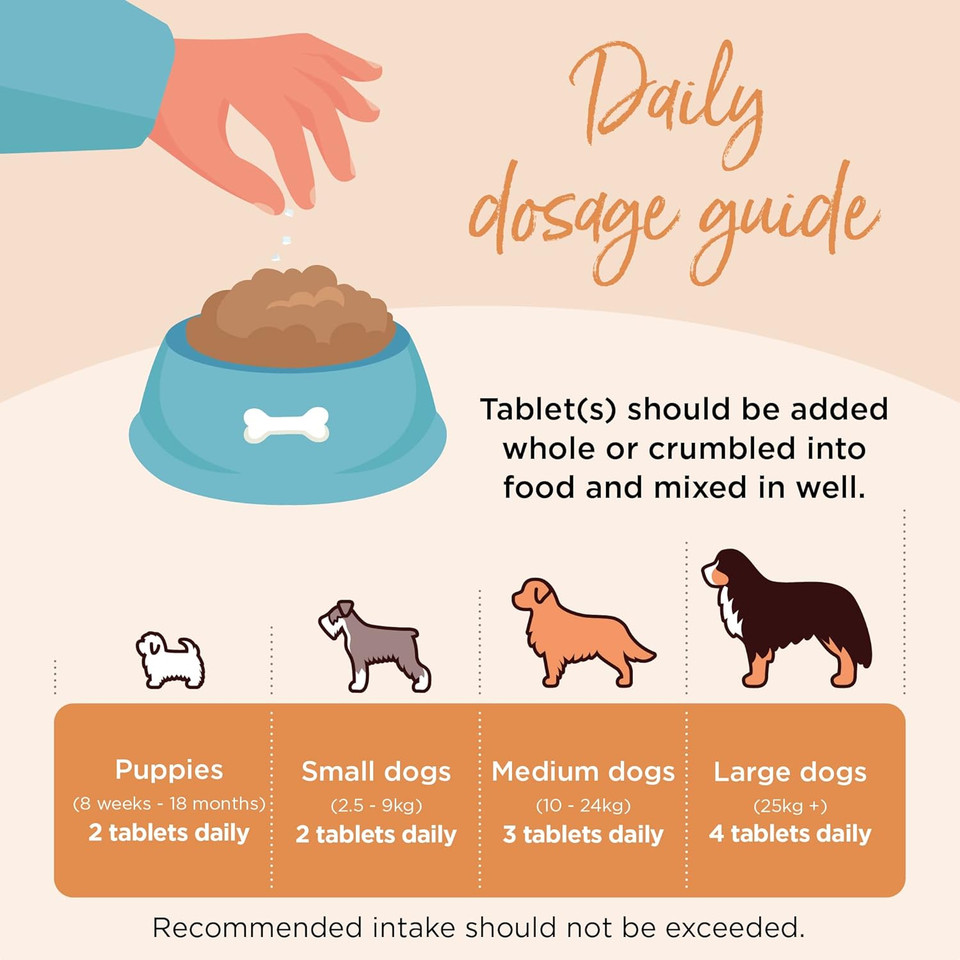 Healthspan Multivitamin For Dogs (240 Tablets) | A Gold Standard Multivitamin For Every Stage In Life | 18 Essential Vitamins & Minerals | Vitamins A, B, C, D & E | Magnesium & Zinc | Beef Flavoured