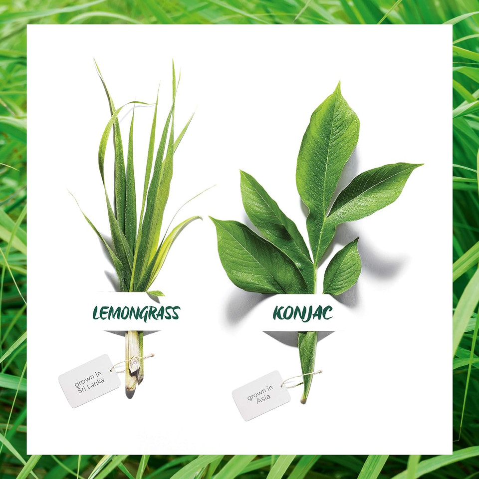 Garnier Organic Lemongrass Gel Wash And Konjac Sponge Deep Cleansing & Exfoliating Set For Healthy Glowing Skin - Suitable For Normal, Combination & Sensitive Skin Garnier Organic Lemongrass Gel Wash And Konjac Sponge Deep Cleansing & Exfoliating Set For Healthy Glowing Skin - Suitable For Normal, Combination & Sensitive Skin