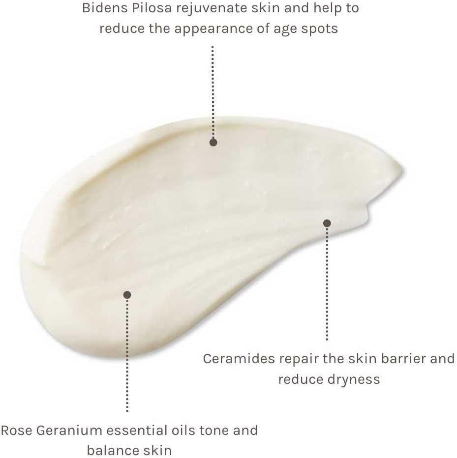 Evolve Organic Beauty - Smooth Hands Limited Edition, Hand Cream | Certified Natural Vegan Cruelty-Free Clean Beauty (2 Fl Oz | 60 Ml) - For All Skin Typesã¢Â