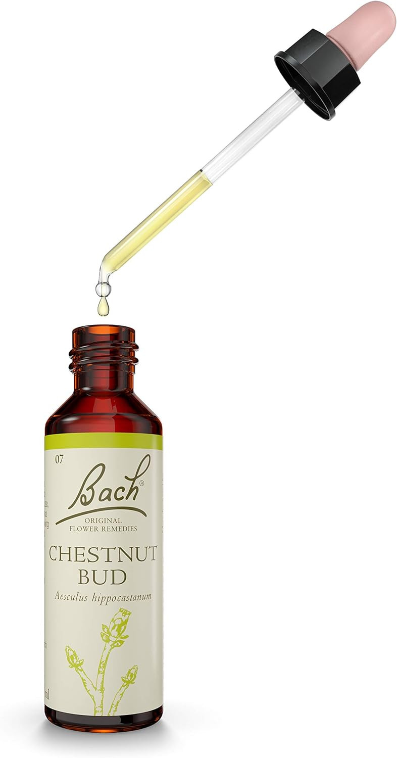 Bach Original Flower Remedies, Chestnut Bud, Natural Vegan Formula, Personal Approach To Emotional Well-Being, Easy To Use, 1 Dropper Bottle X 20 Ml, Natural Remedy