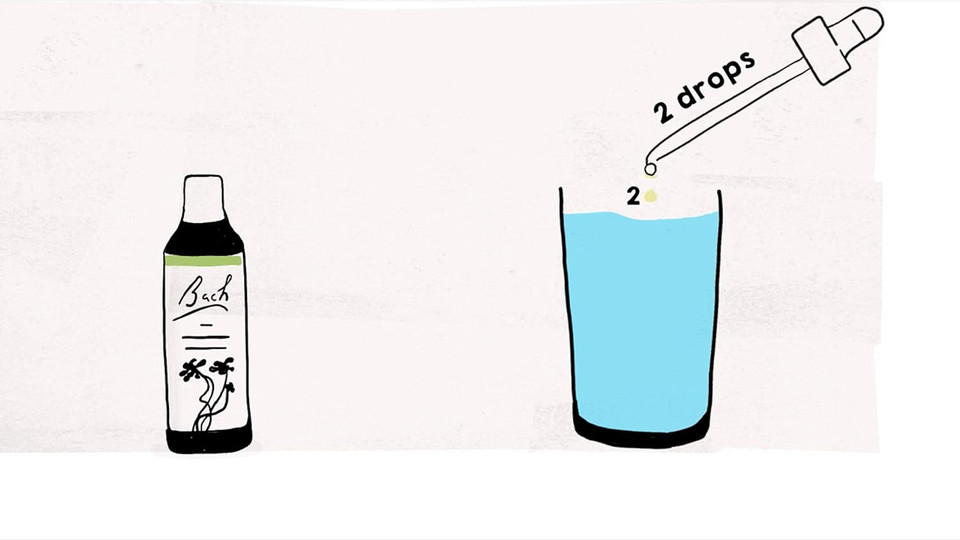 Bach Original Flower Remedies, Chestnut Bud, Natural Vegan Formula, Personal Approach To Emotional Well-Being, Easy To Use, 1 Dropper Bottle X 20 Ml, Natural Remedy